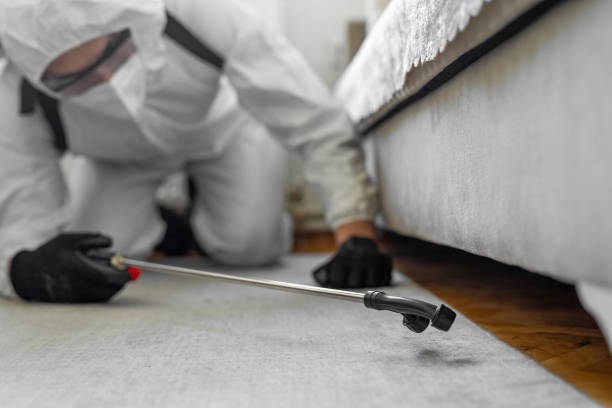 Professional Cockroach Control technician working in Runge, TX