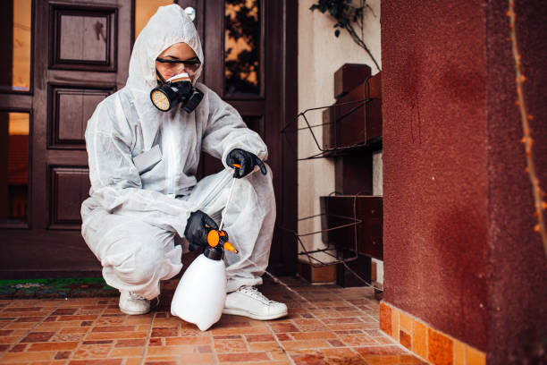 Reliable Cockroach Control contractor in Runge, TX by Nex Pest Control